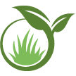 Spring Hill Lawn Clean Up
