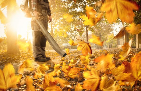 Cost of Leaf Blowing Service in Spring Hill