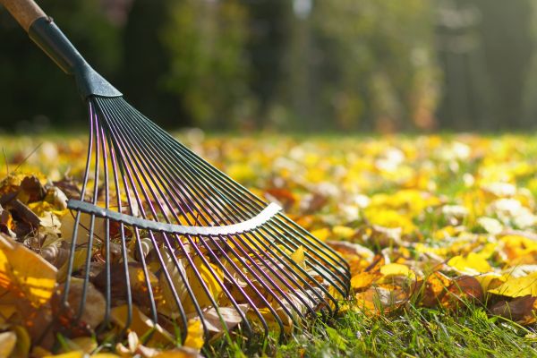 Cost of Leaf Raking Service in Spring Hill