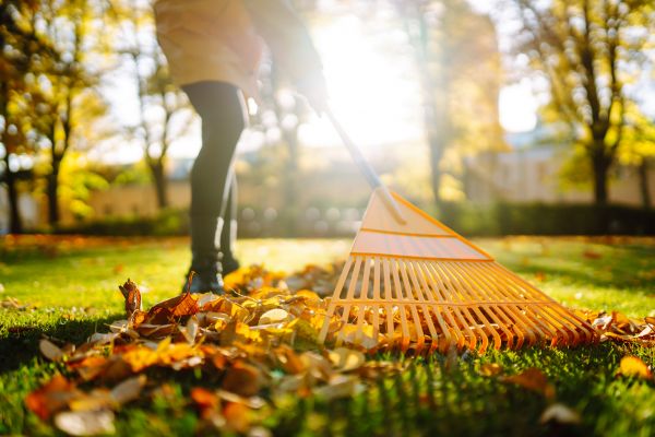 Cost of Leaves Raking in Spring Hill
