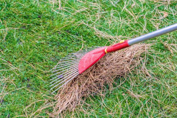 Cost of Yard Raking in Spring Hill