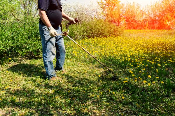Cost of Yard Clearing Service in Spring Hill