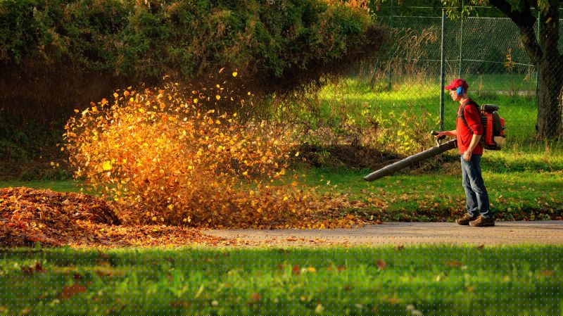 Commercial Leaf Removal