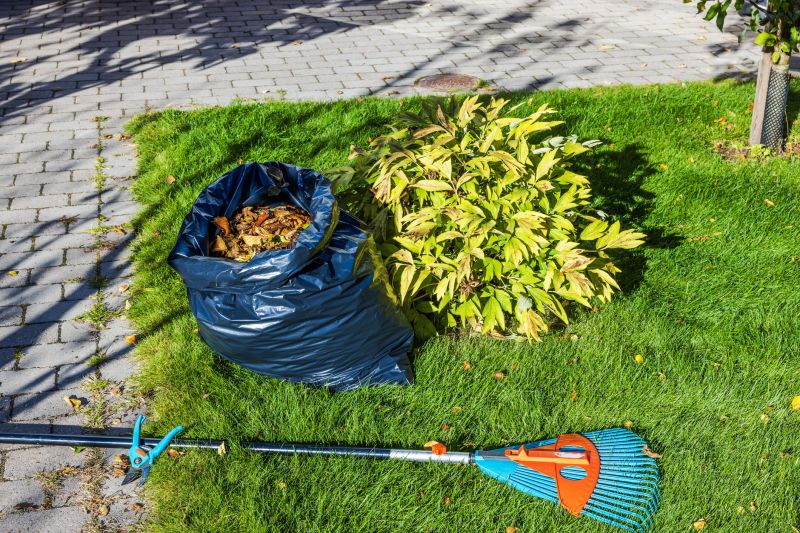 Ditch Leaf Removal
